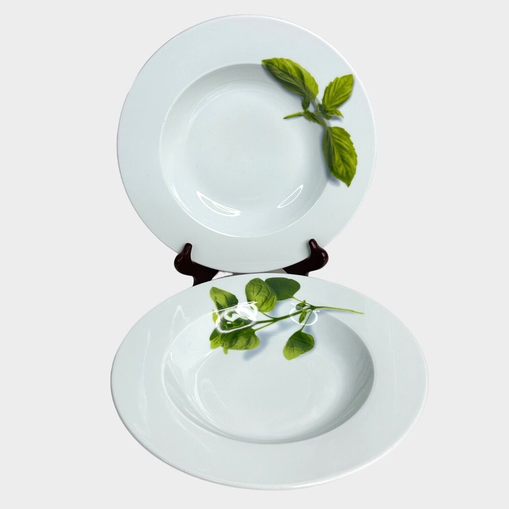 Crate & Barrel Herb Motif Porcelain Dinner Plates Set Of 2